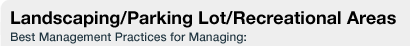 Grounds: Landscaping/Parking Lot/Recreational Areas